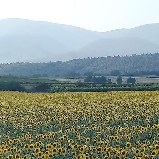 Le Pontin Villa Mane  Dış mekan fotoğraf